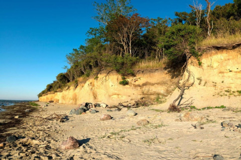Coastal cliff at Bungalow complex Gänseblümchen 7 in Germany with sandy beach and greenery above.