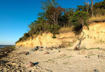 Coastal cliff at Bungalow complex Gänseblümchen 7 in Germany with sandy beach and greenery above.