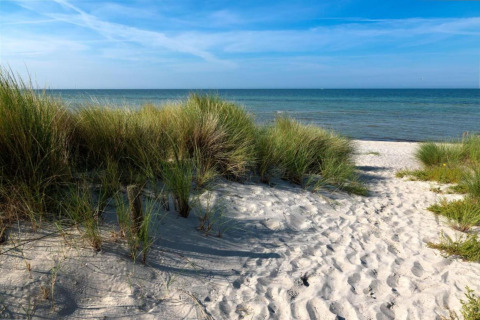 Photo of a sandy beach with dune grass and calm sea view, taken from a cabin during daylight.