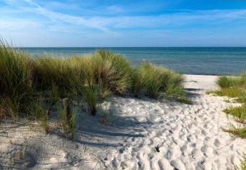 Photo d'une plage de sable avec herbes de dunes et vue calme sur la mer prise depuis une cabane.