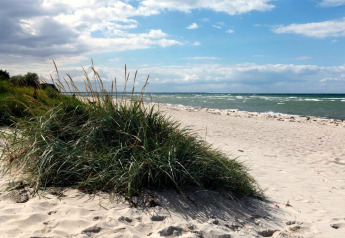 Plage de sable bordée d’herbes de dunes, ciel bleu parsemé de nuages et vue sur la mer calme.