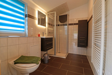 Modern bathroom in the cabin Räuberkuhle Koserow, Germany, featuring a shower and contemporary furnishings.