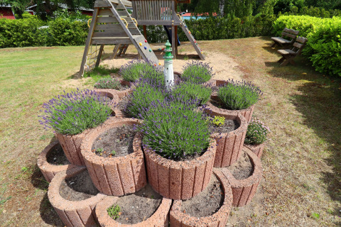 Tiered stone planters with lavender plants in front of a playground at Räuberkuhle Koserow, Germany.
