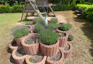 Tiered stone planters with lavender plants in front of a playground at Räuberkuhle Koserow, Germany.