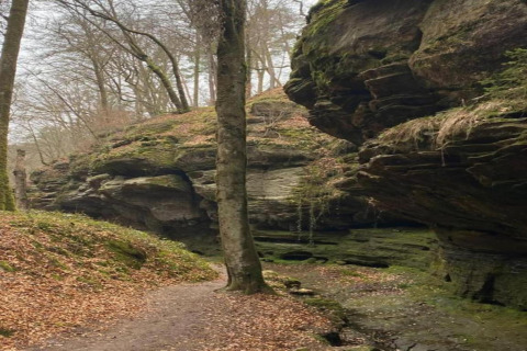 Gorge naturelle avec sentier, formations rocheuses moussues et arbres nus dans une forêt automnale.