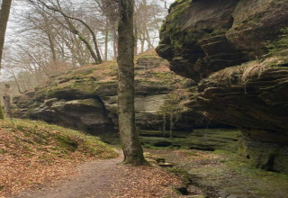 Natuurlijke kloof met wandelpad, mossige rotsen en kale bomen in een boslandschap in de herfst.