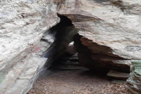 Passage étroit entre des formations rocheuses, sol couvert de feuilles sèches, éclairage naturel.
