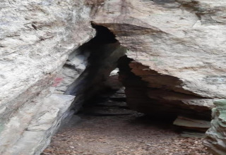 Passage étroit entre des formations rocheuses, sol couvert de feuilles sèches, éclairage naturel.