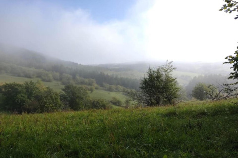 Vue depuis une tente safari sur des collines verdoyantes et arbres, avec une légère brume et ciel bleu.