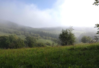 Uitzicht vanuit een safaritent op groene heuvels en bomen in lichte ochtendmist onder een blauwe lucht.