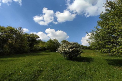 Prairie verdoyante avec arbres et buissons sous un ciel bleu nuageux, vue depuis une tente safari en journée.