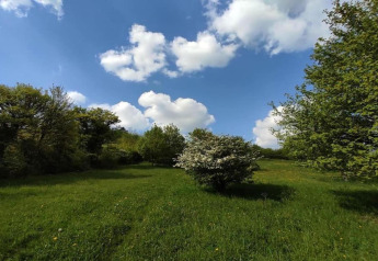 Groene weide met bomen en struiken onder een blauwe lucht met wolken, gezien vanuit een safari-tent overdag.