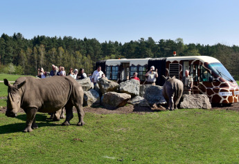 Toeristen in een safaribus bekijken van dichtbij neushoorns tussen rotsen in een park met bos op de achtergrond.