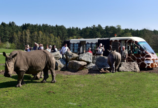 Tourists in a safari bus view rhinos up close among rocks in a wildlife park with forest in the background.