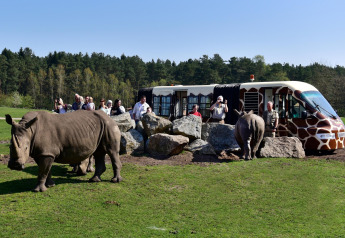 Turistas en un autobús de safari observan rinocerontes de cerca entre rocas en un parque de vida silvestre.