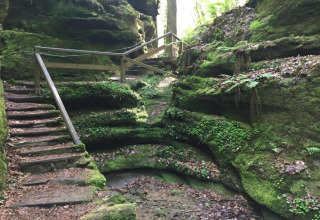 Escalier de pierre et rambardes serpentant dans un ravin moussu entouré de végétation luxuriante.