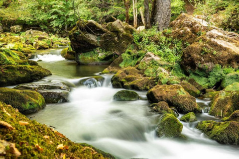 Jolie rivière bordée de rochers moussus et de forêt près du Resort Echternacherbrück 2 en Allemagne.