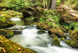 Jolie rivière bordée de rochers moussus et de forêt près du Resort Echternacherbrück 2 en Allemagne.