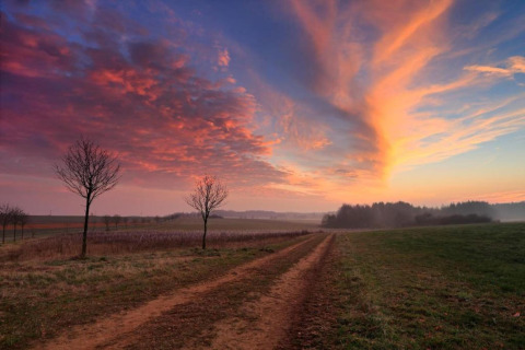 Chemin de campagne au coucher du soleil près du Resort «Echternacherbrück 2» en Allemagne, ciel coloré.