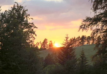 Zonsondergang achter bomen en een heuvel nabij de Haus Wasser-hut in Duitsland, oranjerode hemel.