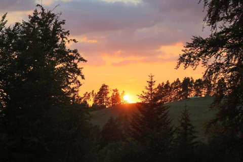Sunset behind trees and a hill near the Haus Wasser cabin in Germany, sky glowing orange and purple hues.