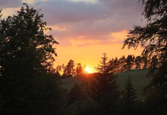 Sunset behind trees and a hill near the Haus Wasser cabin in Germany, sky glowing orange and purple hues.