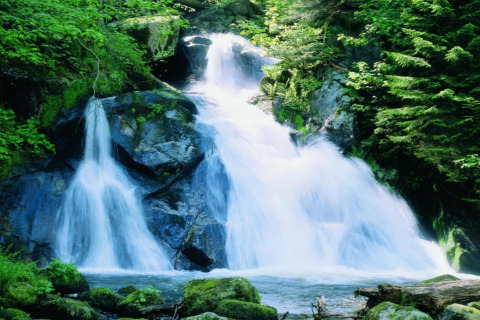 Beautiful waterfall at Haus Wasser cabin in Germany, surrounded by lush green forest and rocks.