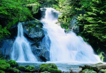 Beautiful waterfall at Haus Wasser cabin in Germany, surrounded by lush green forest and rocks.