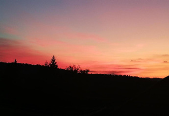 Stunning sunset sky with vibrant colors seen from the cabin Haus Wasser in Germany, trees in silhouette.