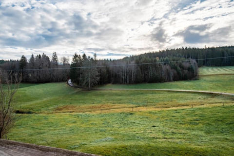 View of green meadows and forest from Haus Wasser cabin in Germany with a cloudy sky above.