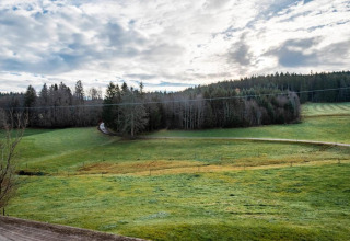 View of green meadows and forest from Haus Wasser cabin in Germany with a cloudy sky above.