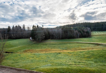 View of green meadows and forest from Haus Wasser cabin in Germany with a cloudy sky above.