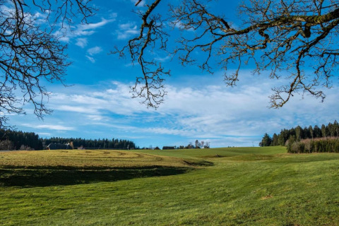 Scenic view of green fields and tree branches near Haus Wasser cabin under a blue sky in Germany.