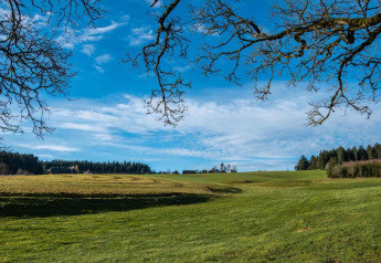 Scenic view of green fields and tree branches near Haus Wasser cabin under a blue sky in Germany.