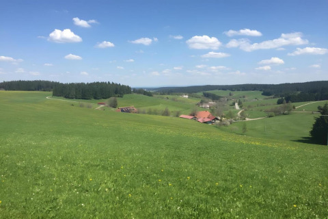 View from Haus Wasser cabin in Germany showing green fields, distant woods, and a bright blue sky above.