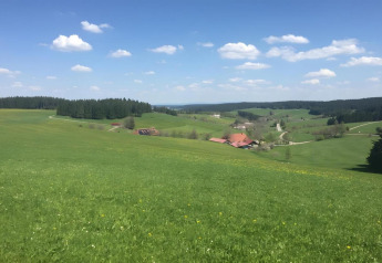 View from Haus Wasser cabin in Germany showing green fields, distant woods, and a bright blue sky above.
