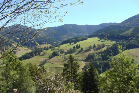 View from Haus Wasser cabin in Germany showing rolling hills, forests, meadows, and a sunny sky.