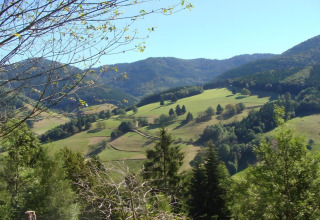 View from Haus Wasser cabin in Germany showing rolling hills, forests, meadows, and a sunny sky.