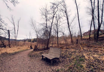 A bench along a path near Haus Wasser cabin in Germany, surrounded by leafless trees and a house.