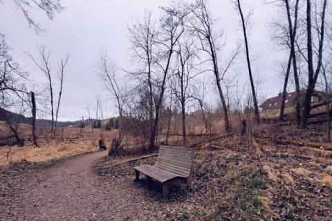 A bench along a path near Haus Wasser cabin in Germany, surrounded by leafless trees and a house.
