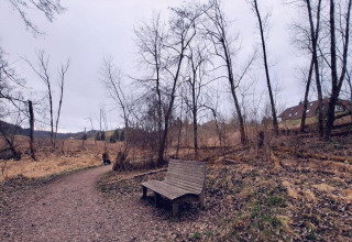 A bench along a path near Haus Wasser cabin in Germany, surrounded by leafless trees and a house.