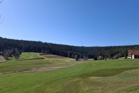 View from Haus Wasser in Germany, showing green fields, a forest, a house, and a clear blue sky.