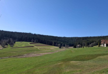 View from Haus Wasser in Germany, showing green fields, a forest, a house, and a clear blue sky.