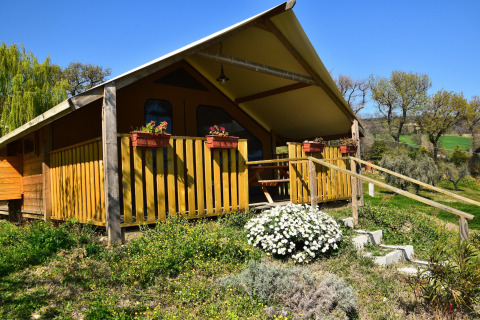A photo of a safari tent with a wooden porch, flower boxes, and lush greenery on a sunny day.