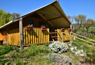 A photo of a safari tent with a wooden porch, flower boxes, and lush greenery on a sunny day.