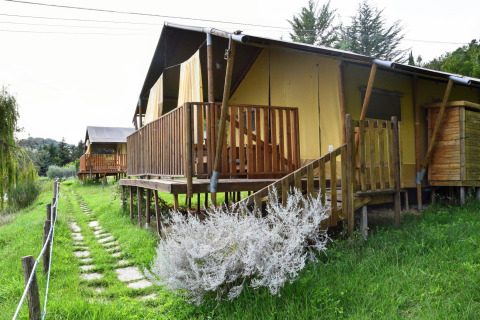 Safari tents on wooden decks in a green grassy area with a stone path running beside the accommodations.