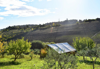 View of green fields and hills from the safari tent Tenda Luxury 1 in Italy on a bright sunny day.