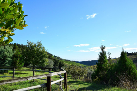 View from a safari tent showing wooden fence, green hills, trees, and bright blue sky daytime.