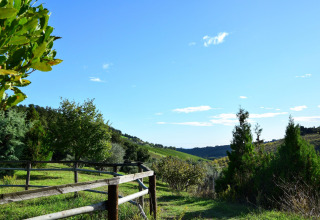 View from a safari tent showing wooden fence, green hills, trees, and bright blue sky daytime.