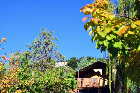 Tienda de safari con terraza de madera rodeada de árboles verdes bajo un cielo azul despejado en la naturaleza.